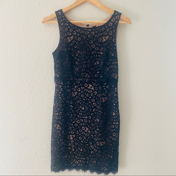 Lapis Black Lace Overlay Nude Dress Small Dress - Picture 1 of 6